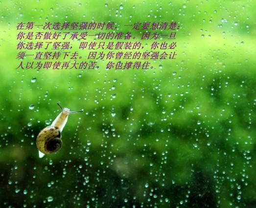 222.jpg 222.jpg