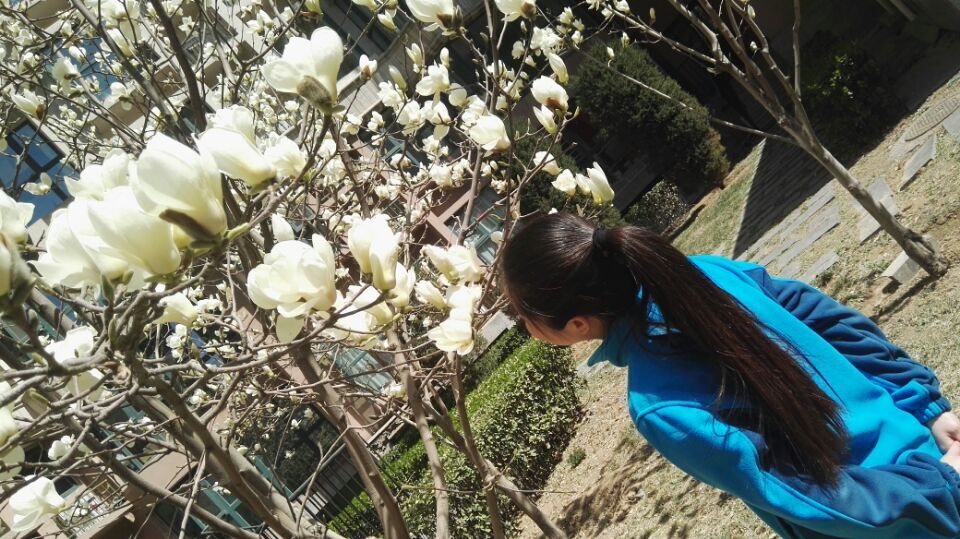 QQ图片20160324180628.jpg QQ图片20160324180628.jpg