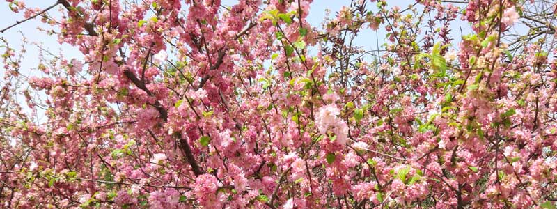 IMG_20160409_133731.jpg