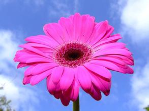 u=4166076471,617148899&fm=21&gp=0.jpg