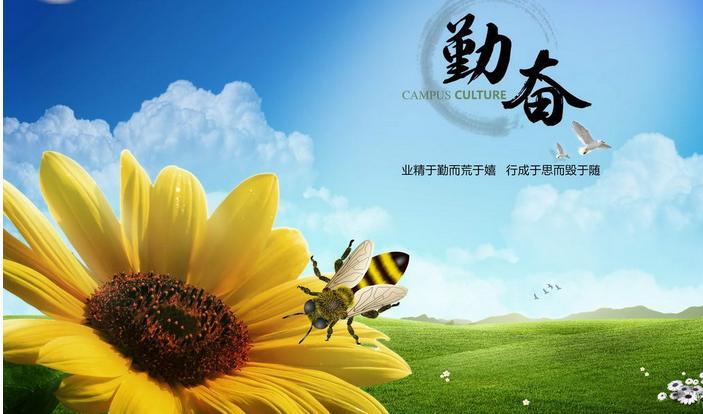 C:\Documents and Settings\Administrator\妗岄潰\13.jpg