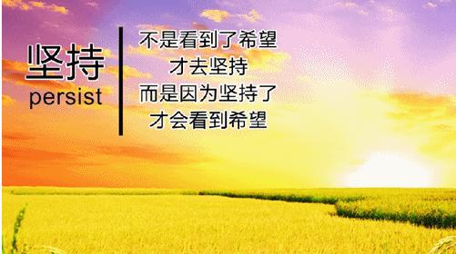 13.jpg 13.jpg