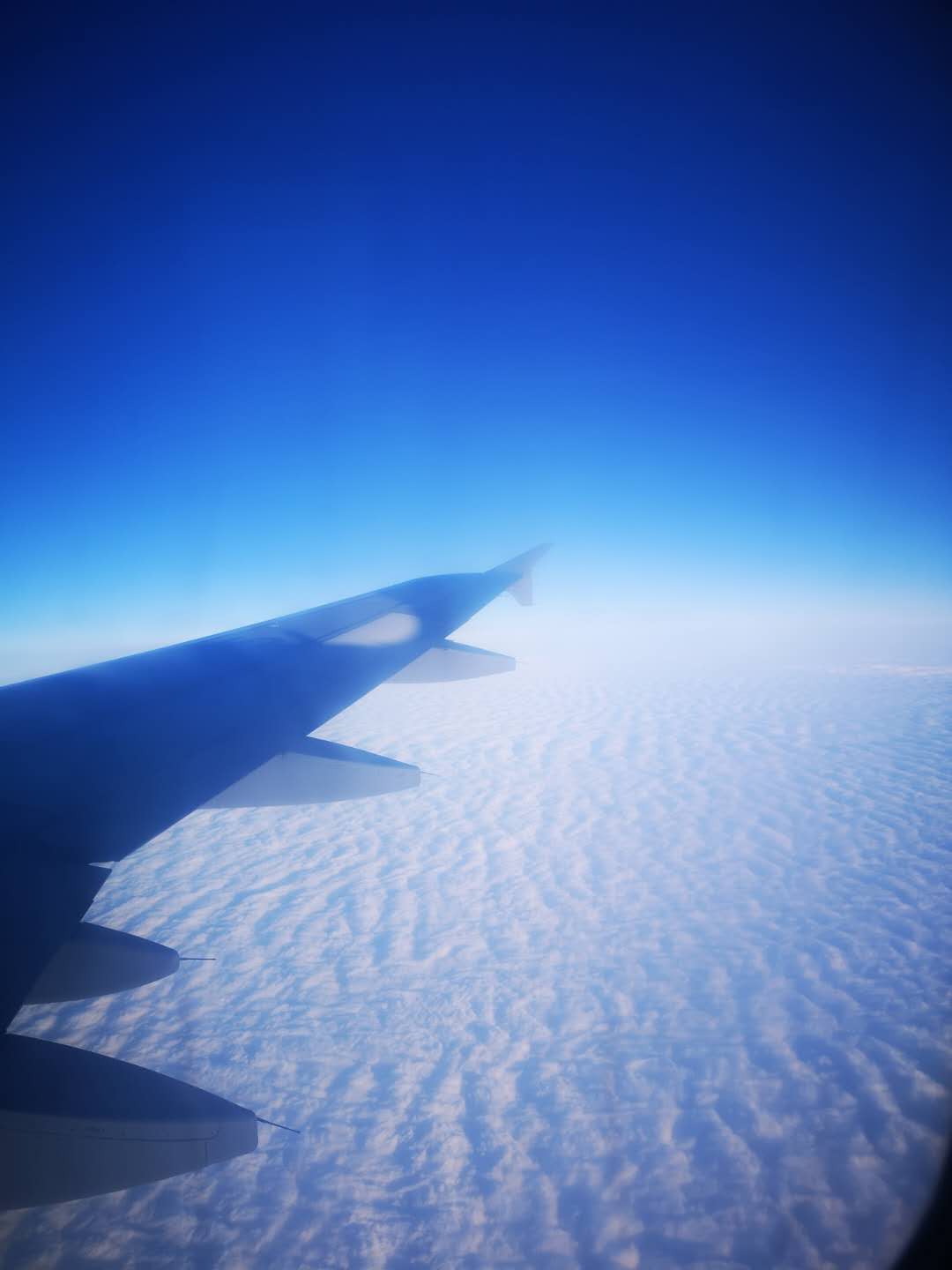 微信图片_20190103185055.jpg