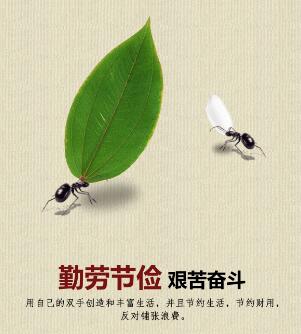 TIM图片20190709191548.jpg