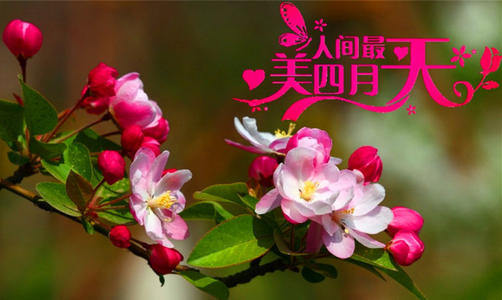 下载.jpg